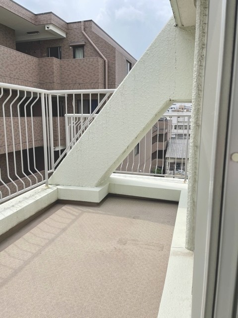 新新瑞アイリス